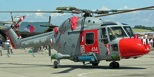 Ice-age Lynx | by crusader752