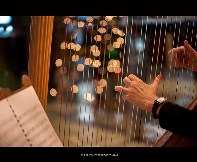 STRINGS ATTACHED BOKEH