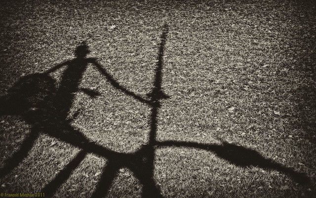 L'ombre de Don Quichotte