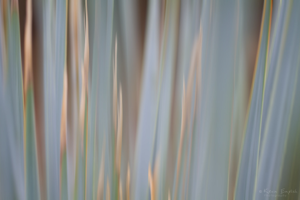 Flickr Focus Trying to Focus | Flickr is a funny thing. A common passion … | Flickr