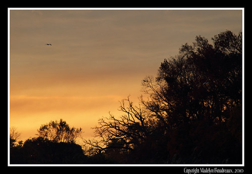 IMG_1756 by marchenland,