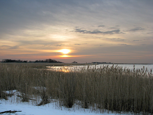 winter sky sun snow cold water clouds sunrise reeds bay nj shore s5 delawarebay “new jersey” img2392 nj012011 baysideviewingarea