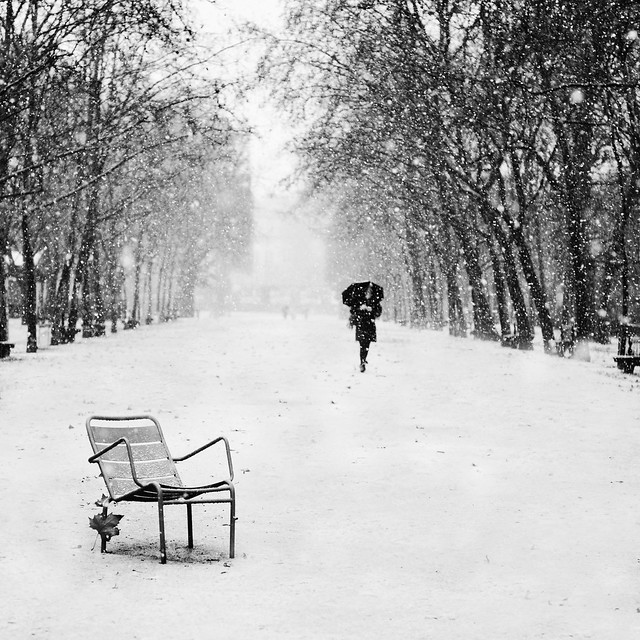 Sous la neige ~ Paris
