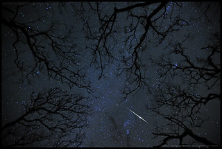 Quadrantid Meteor through Trees 2011 | by Jeff Berkes Photography | 1 Million + VIEWS!