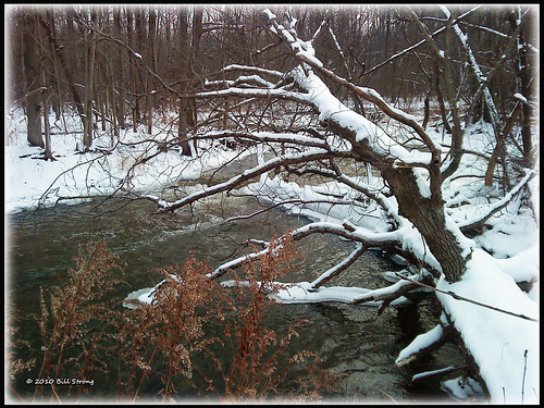 winter snow creek stream geocaching burford lionspark sonyw705a