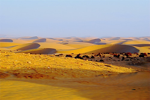 Sanddunes | by Chris Corthouts