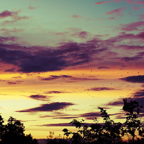 sunset sky clouds dusk philippines manila tropicalsunset