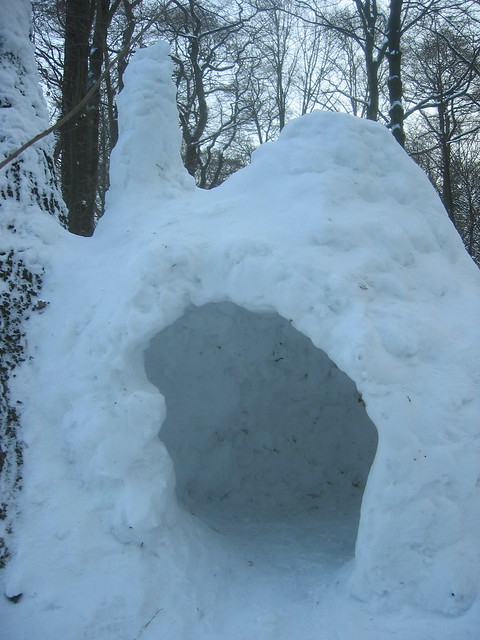 i see your tumbleweed tiny house and raise you an igloo jay shafer