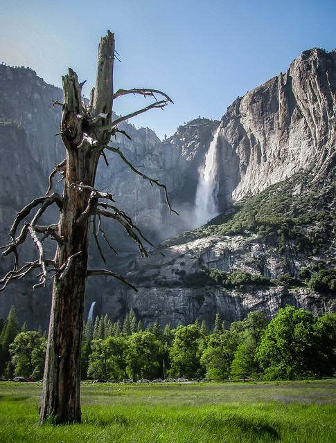 Yosemite Falls (Explore 1-13-17)