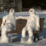 Snow Couple in Botanics