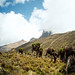 Mount Kenya, foto: Eva Trnková