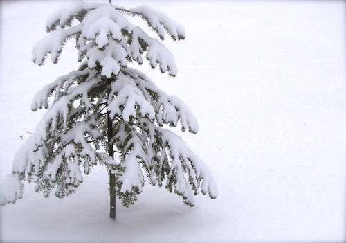 cold | by portobelleza