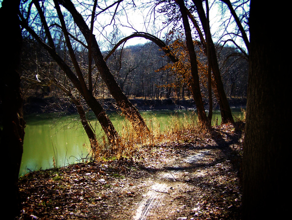 Stinging Nettle Trail