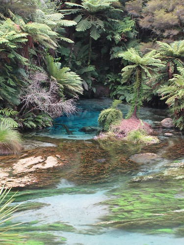 blue newzealand water river spring scenery walkway nz mineral waikato northisland te landscpae waihou