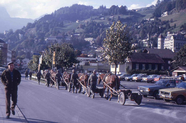 Engelberg - Swiss Army Horses and Soldiers