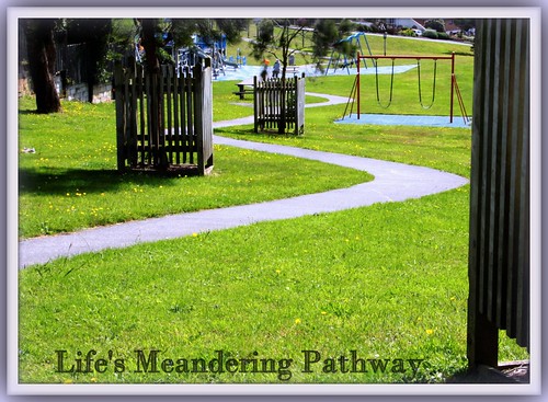 Life is a meandering pathway | by W J (Bill) Harrison
