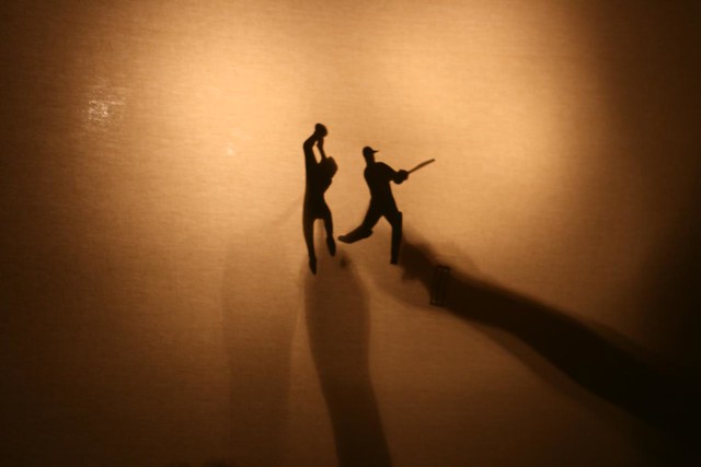 Shadow Puppet play