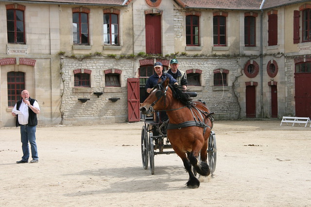 Vente de chevaux de Trait Ardennais attelés