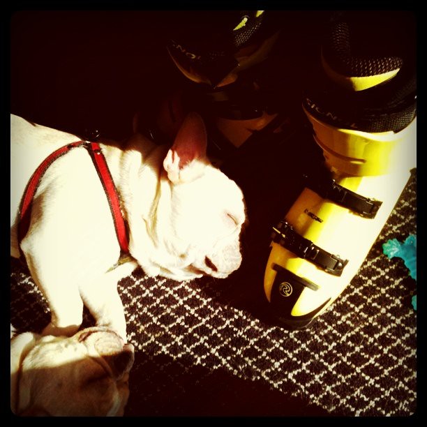Sunbathing on a ski boot