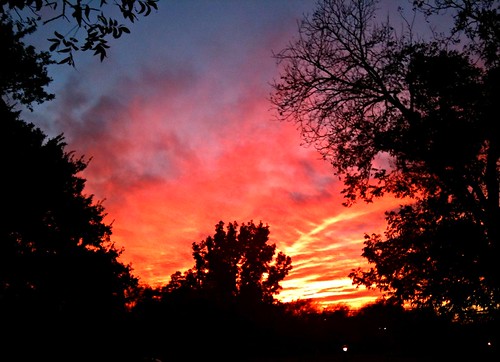 trees sunset skyline texas denton