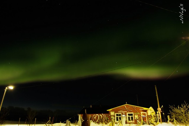 Aurora Borealis above the Lofoten Norway IV