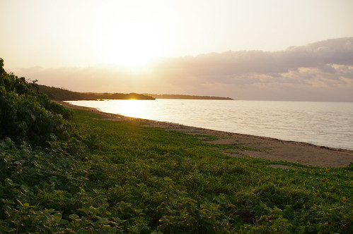 green beach japan sunrise okinawa 沖縄 緑 risingsun ビーチ k7 日の出 kohama kohamaisland 朝日 浜 sigma30mmf14exdc 小浜 小浜島