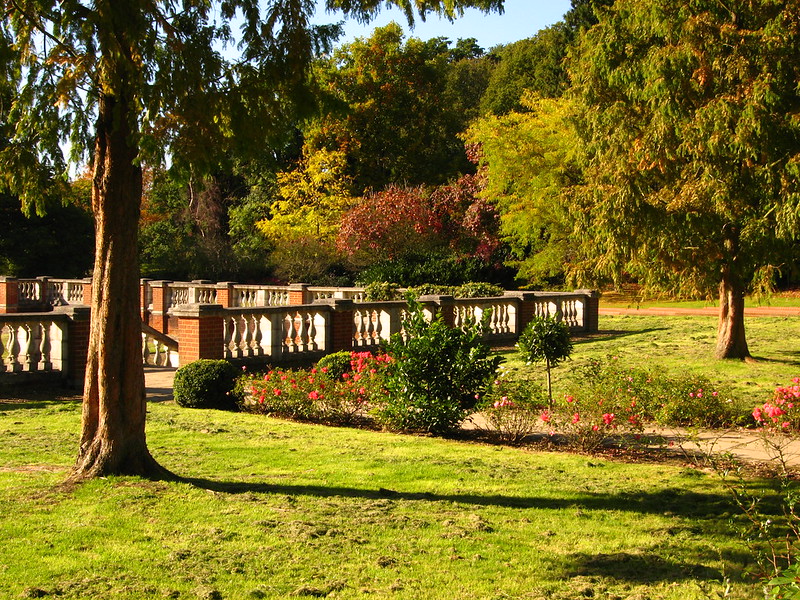 Cannizaro Park, Autumn 2010