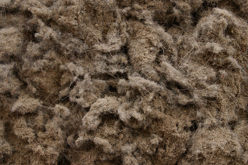 vacuum cleaner dust | by Leeber