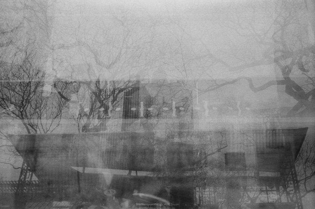 Grainy double-exposure layering bare winter tree branches over modern architectural silhouettes.