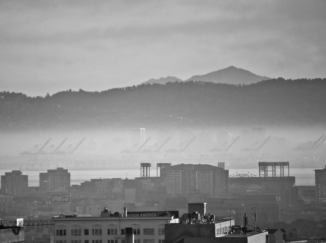 Fog layer over San Francisco Bay