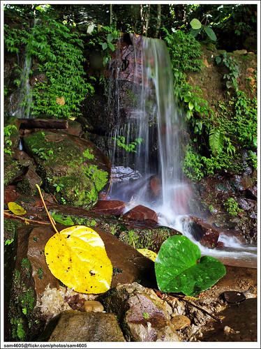 park nature forest ed waterfall rainforest olympus malaysia borneo e3 sabah taman crocker hutan airterjun zd sabahborneo 1260mm keningau semulajadi crockerrangenationalpark