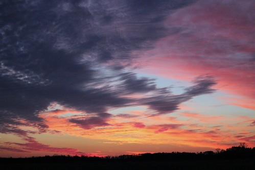 IMG_3384 by Potersnak, 