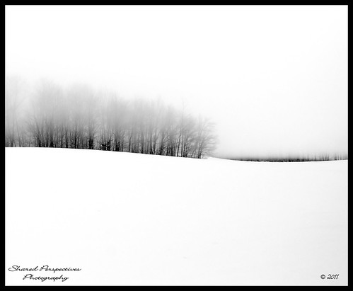 trees winter snow field fog maine bhphotocoldcontest