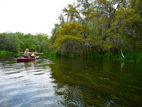 county nature river march spring paradise natural florida wildlife north central columbia springs subtropical secluded ichetucknee