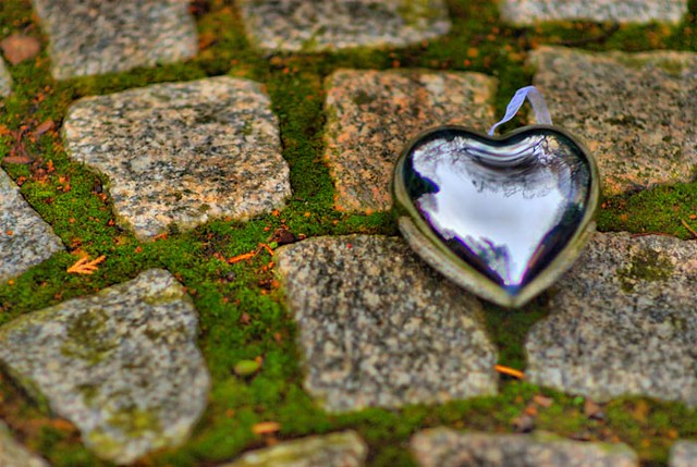 A Discarded Heart Forlornly Hoping to Be Rescued on St Valentines Day