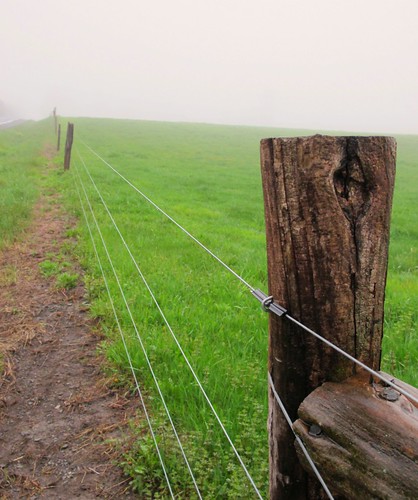 fence in the fog | by mayalu