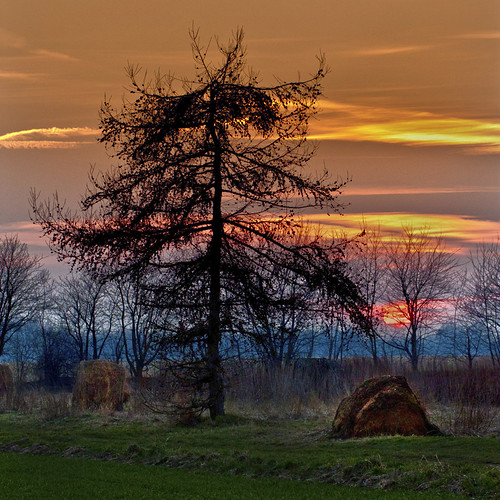At Sundown by In Memoriam: L I C H T B I L D E R, © by LICHTBILDER Reinhard Goldmannwinter sunset tree landscape sonnenuntergang wintersunset sundown