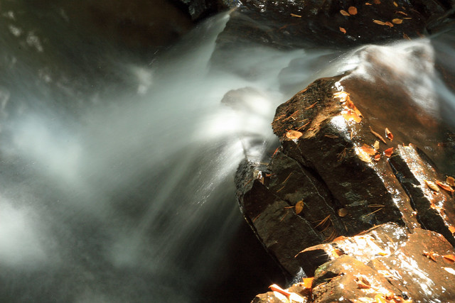 Long exposure of the tiny Tolliver Falls in Swallow Falls State Park, MD