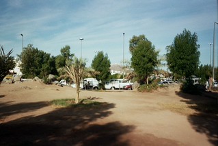 Trees outside Qibla masjid