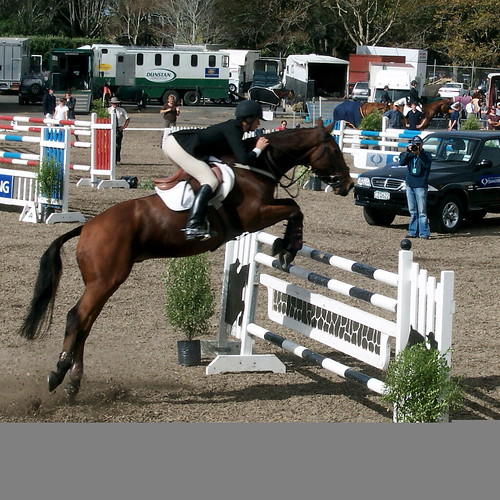 The 1.40m jump off | by bignoseduglyguy