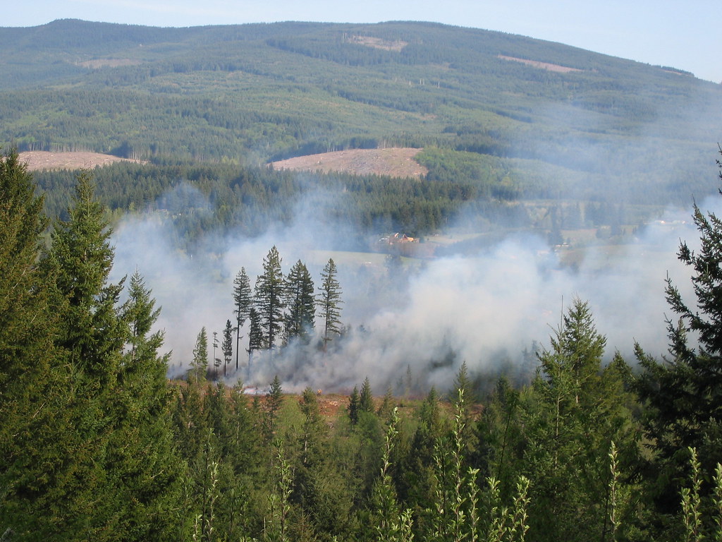 Forest Fire, Colton | We had a forest fire about 1/2 mile fr… | Flickr