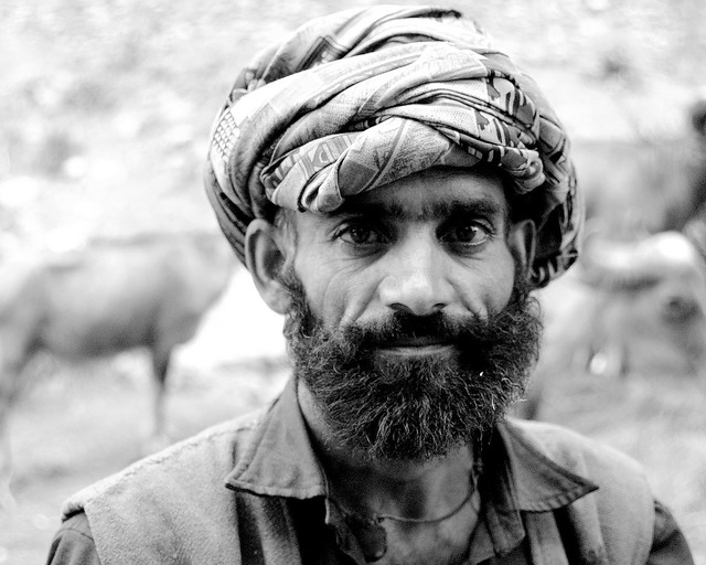 The Gujjar People of the Himalayan Foothills.