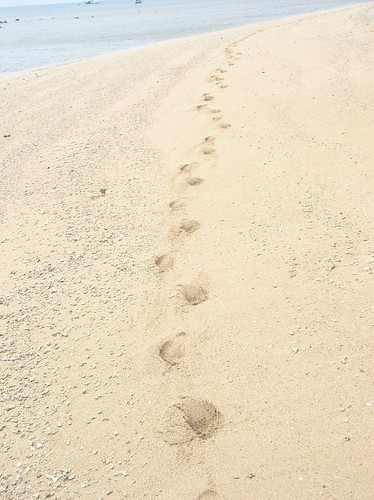 Low Isles Footprints | Low Isles footprints - Another set of… | Flickr