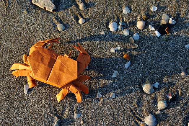 Shore Crab ( origami )