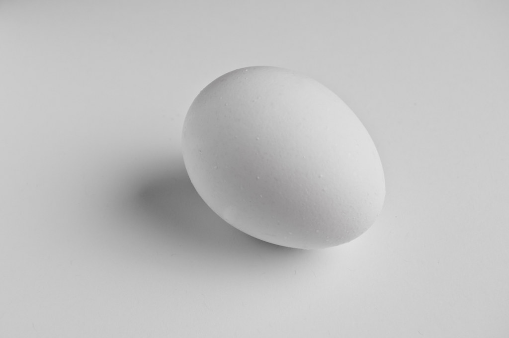 Egg High Key. alienbees, b800, flash