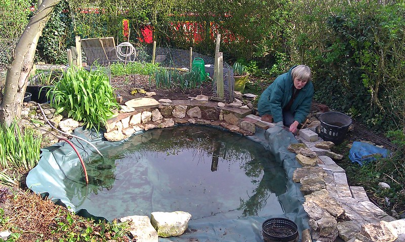 Jenny working on her pond rejuvenation