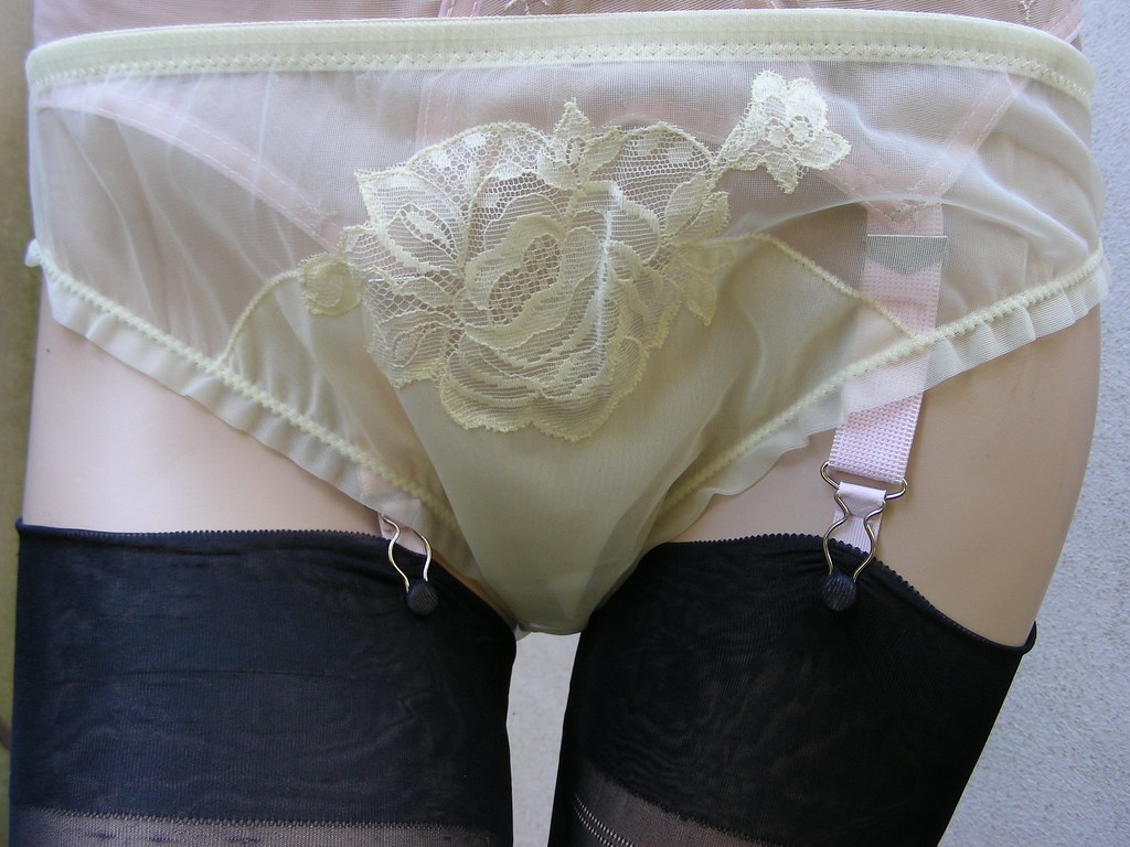 risiko Mount Bank vase SRPM17 | Sheer nylon panties by Vanity Fair. | Sheer Lonny | Flickr