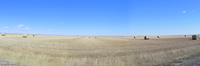 Bales on the High Plains of Eastern Montana