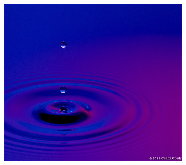 Water drops in blue & purple