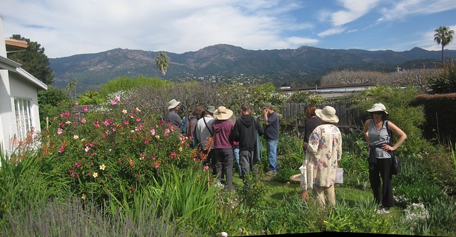 IMG_3156_2 110213 Permaculture home sanmarkan santa barbara mountain view ICE rm stitch98